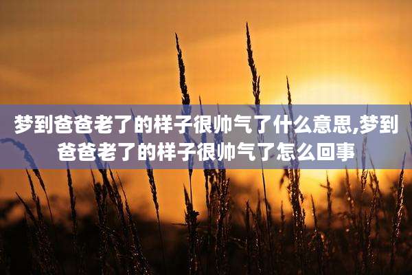 梦到爸爸老了的样子很帅气了什么意思,梦到爸爸老了的样子很帅气了怎么回事