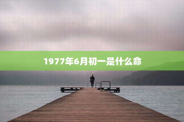 1977年6月初一是什么命