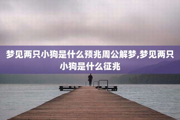 梦见两只小狗是什么预兆周公解梦,梦见两只小狗是什么征兆