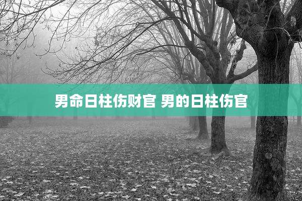 男命日柱伤财官 男的日柱伤官