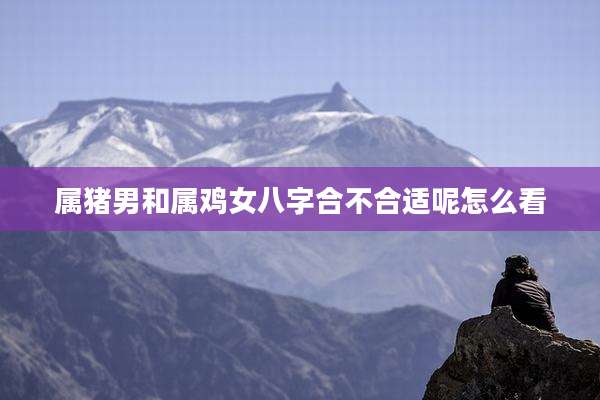 属猪男和属鸡女八字合不合适呢怎么看