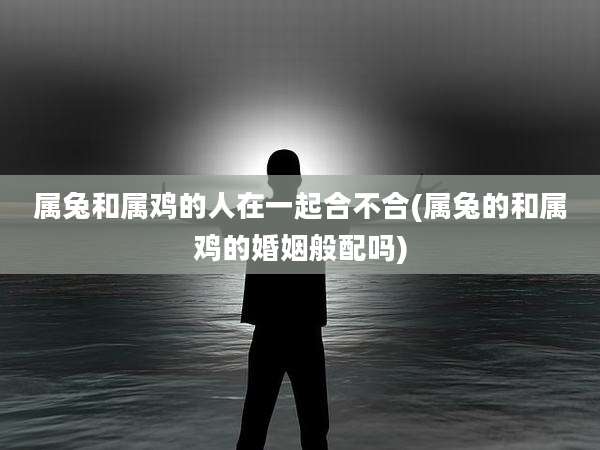 属兔和属鸡的人在一起合不合(属兔的和属鸡的婚姻般配吗)