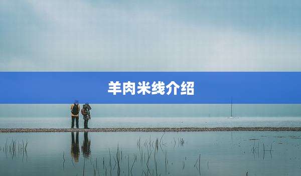 羊肉米线介绍