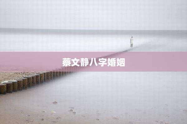 蔡文静八字婚姻
