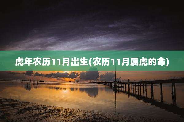 虎年农历11月出生(农历11月属虎的命)