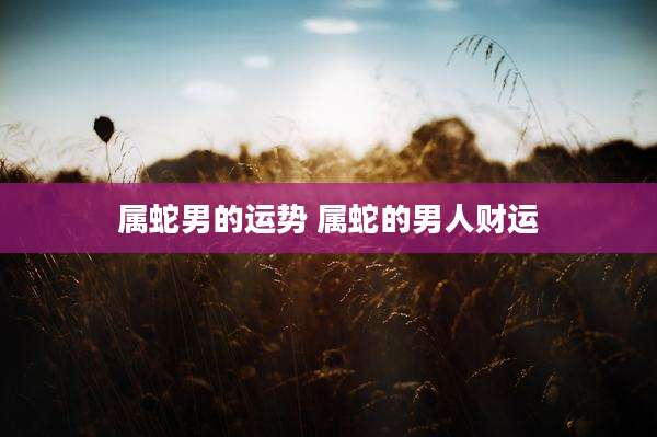 属蛇男的运势 属蛇的男人财运