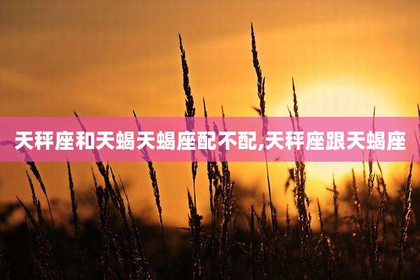 天秤座和天蝎天蝎座配不配,天秤座跟天蝎座