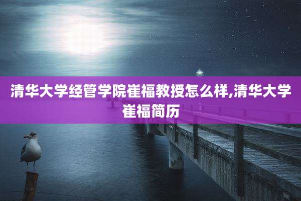 清华大学经管学院崔福教授怎么样,清华大学崔福简历
