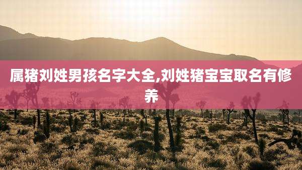 属猪刘姓男孩名字大全,刘姓猪宝宝取名有修养