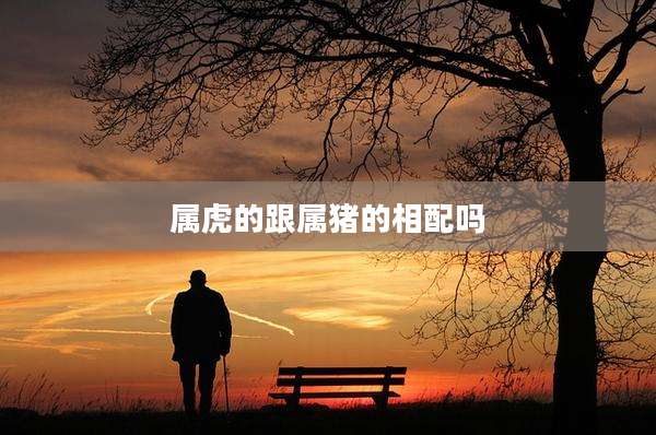 属虎的跟属猪的相配吗