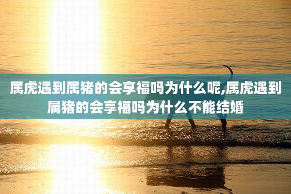 属虎遇到属猪的会享福吗为什么呢,属虎遇到属猪的会享福吗为什么不能结婚