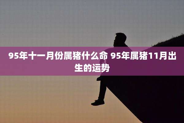 95年十一月份属猪什么命 95年属猪11月出生的运势