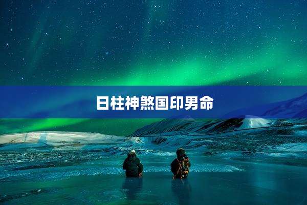 日柱神煞国印男命