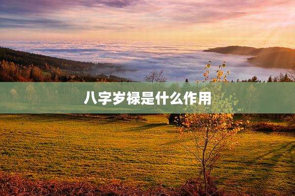 八字岁禄是什么作用