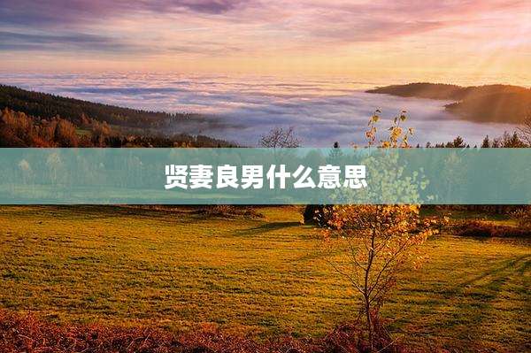 贤妻良男什么意思