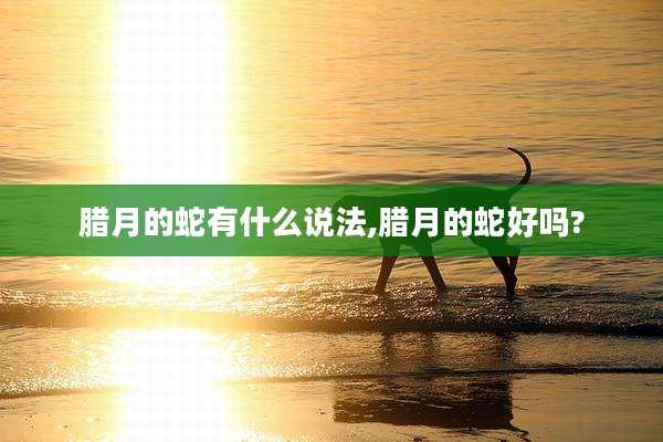 腊月的蛇有什么说法,腊月的蛇好吗?