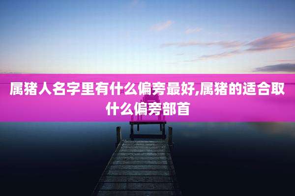 属猪人名字里有什么偏旁最好,属猪的适合取什么偏旁部首