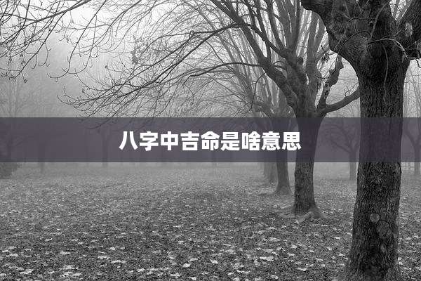 八字中吉命是啥意思