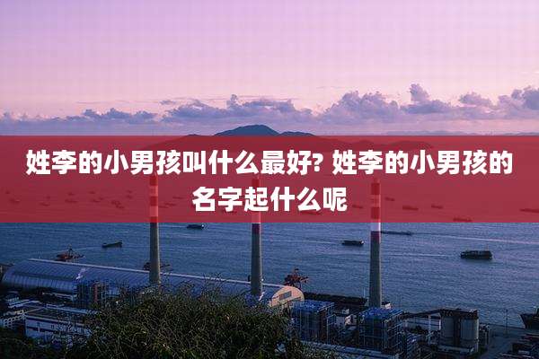 姓李的小男孩叫什么最好? 姓李的小男孩的名字起什么呢