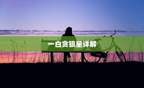 一白贪狼星详解