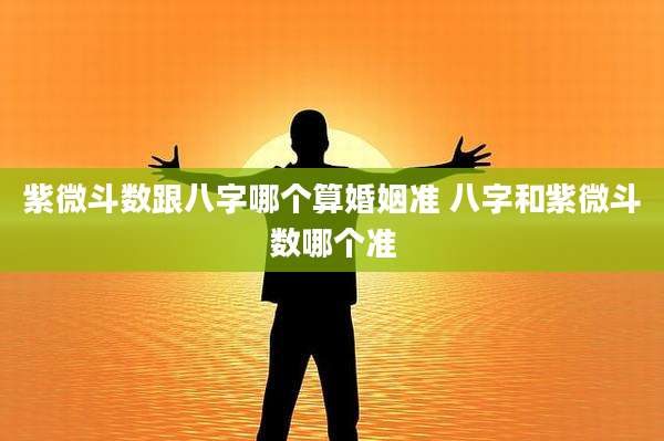 紫微斗数跟八字哪个算婚姻准 八字和紫微斗数哪个准