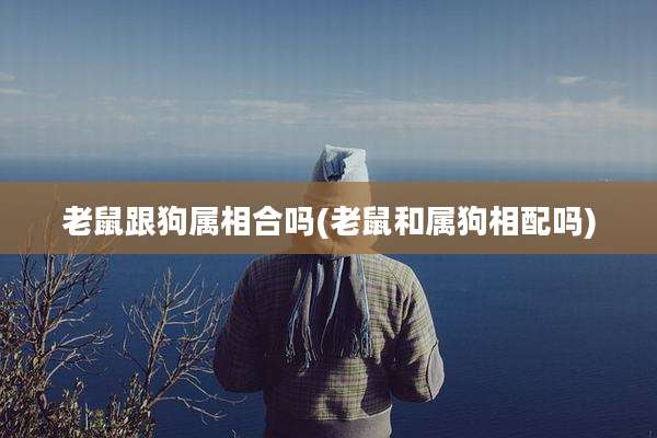 老鼠跟狗属相合吗(老鼠和属狗相配吗)