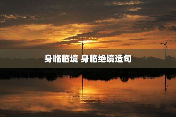 身临临境 身临绝境造句
