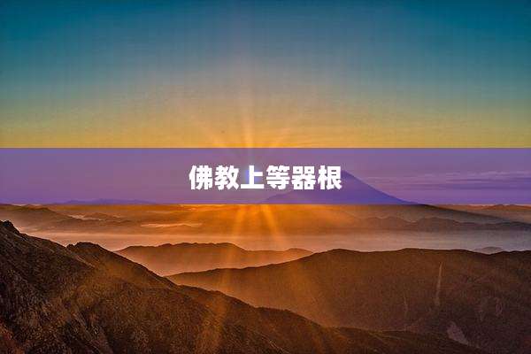 佛教上等器根
