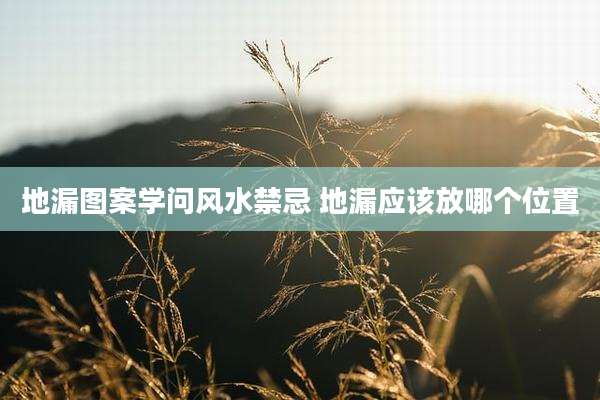 地漏图案学问风水禁忌 地漏应该放哪个位置