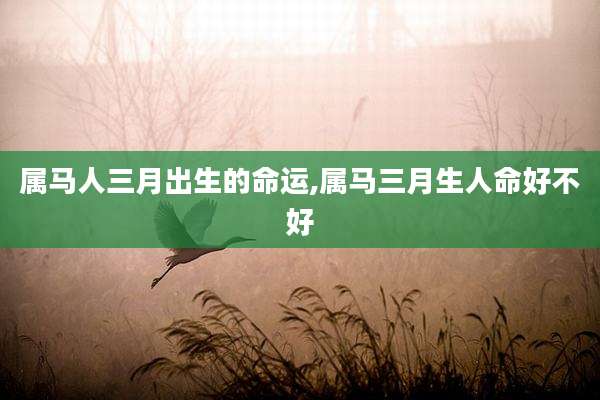 属马人三月出生的命运,属马三月生人命好不好