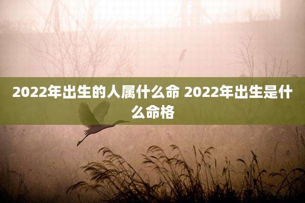 2022年出生的人属什么命 2022年出生是什么命格