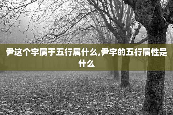 尹这个字属于五行属什么,尹字的五行属性是什么