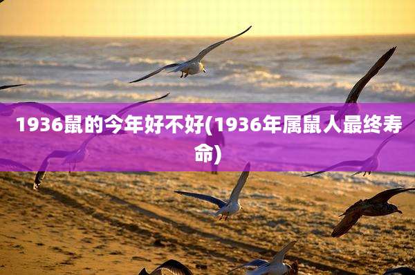 1936鼠的今年好不好(1936年属鼠人最终寿命)
