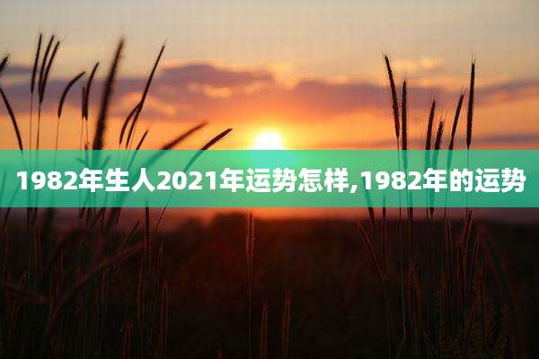 1982年生人2021年运势怎样,1982年的运势