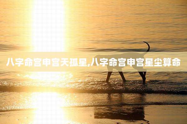 八字命宫申宫天孤星,八字命宫申宫星尘算命