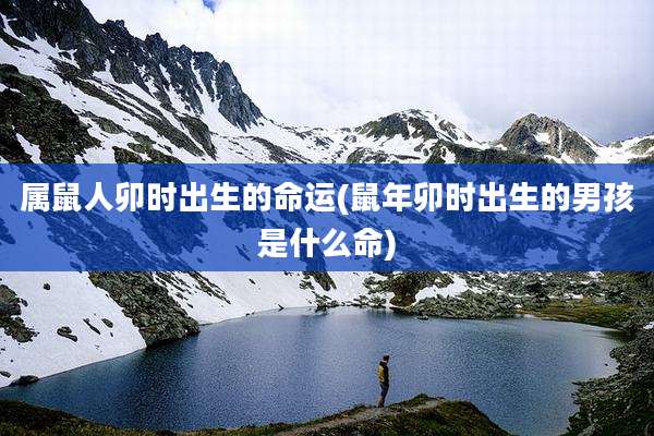 属鼠人卯时出生的命运(鼠年卯时出生的男孩是什么命)
