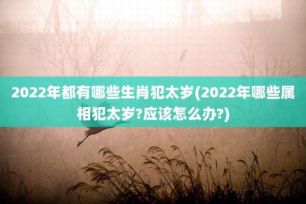2022年都有哪些生肖犯太岁(2022年哪些属相犯太岁?应该怎么办?)