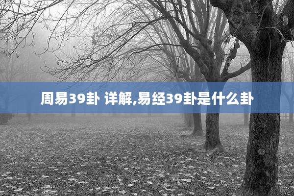 周易39卦 详解,易经39卦是什么卦