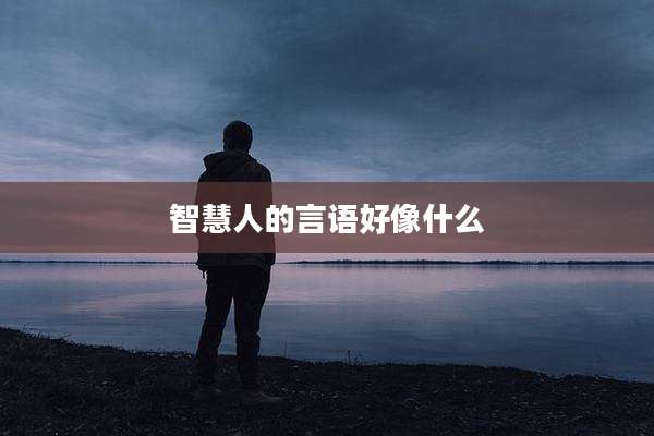 智慧人的言语好像什么