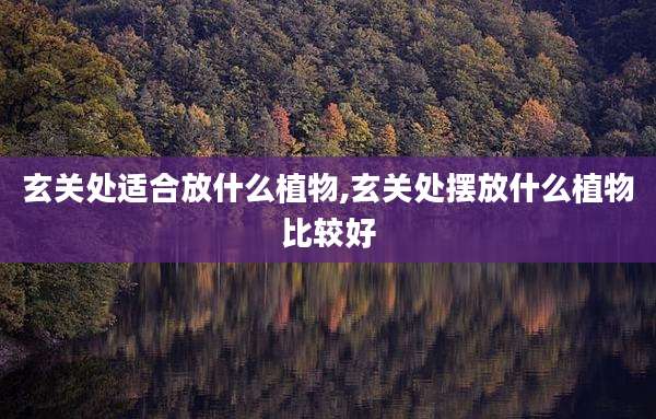 玄关处适合放什么植物,玄关处摆放什么植物比较好