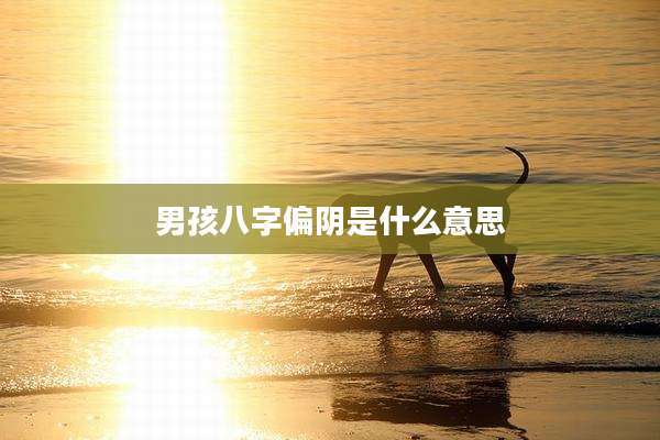 男孩八字偏阴是什么意思
