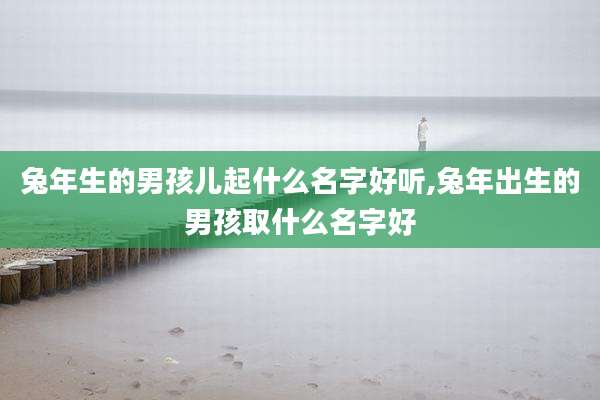 兔年生的男孩儿起什么名字好听,兔年出生的男孩取什么名字好