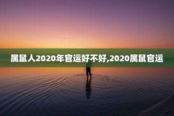 属鼠人2020年官运好不好,2020属鼠官运