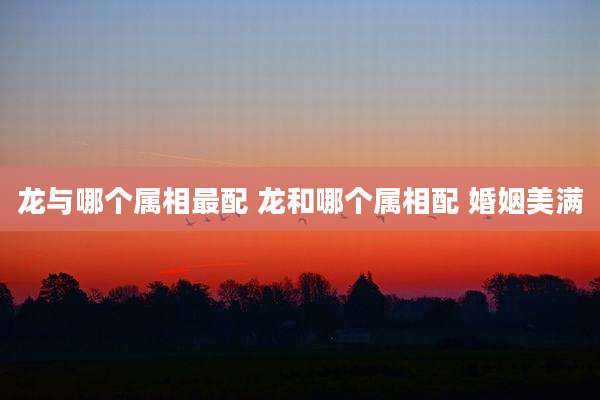 龙与哪个属相最配 龙和哪个属相配 婚姻美满