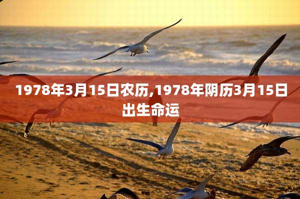 1978年3月15日农历,1978年阴历3月15日出生命运