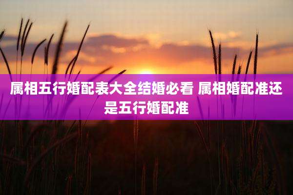 属相五行婚配表大全结婚必看 属相婚配准还是五行婚配准