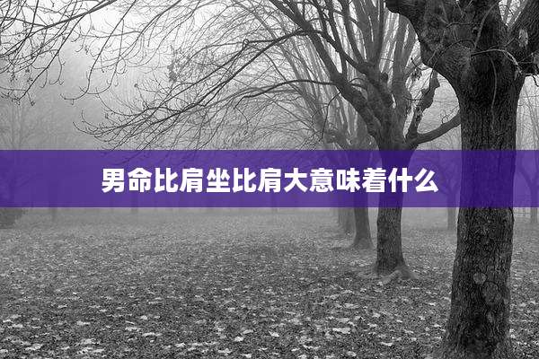 男命比肩坐比肩大意味着什么