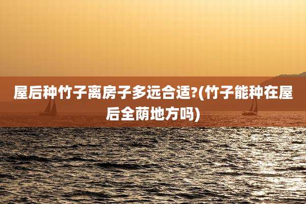 屋后种竹子离房子多远合适?(竹子能种在屋后全荫地方吗)