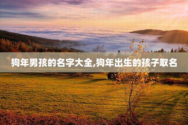 狗年男孩的名字大全,狗年出生的孩子取名
