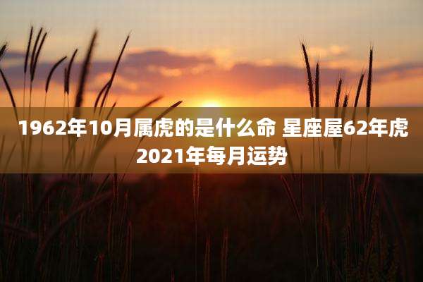 1962年10月属虎的是什么命 星座屋62年虎2021年每月运势